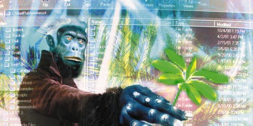 Human Consciousness Arose From a Bunch of Apes Getting Stoned, Controversial Theory Suggests