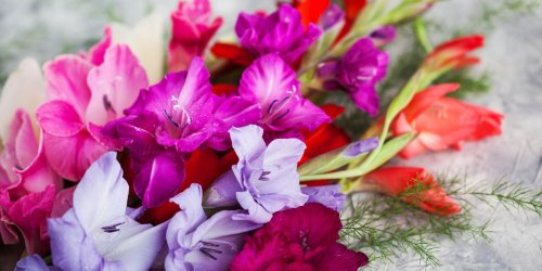 All the Birth Month Flowers and Their Meanings