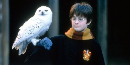 Harry Potter's Daniel Radcliffe reveals co-star he was starstruck by