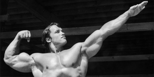 Arnold Schwarzenegger Just Shared His Iconic No-Gym Workout Plan
