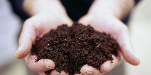 7 things you didn't know about composting