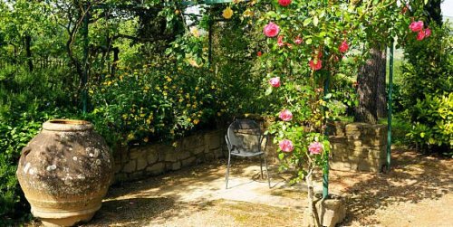 How to Create a Mediterranean Garden That Will Make You Feel Like You're on Vacation