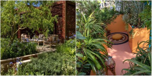 Chelsea Flower Show 2022: all 39 gardens (and winners) at this year's show