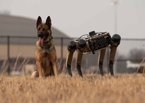U.S. Army Robot Dog | Ghost Robotics Vision 60