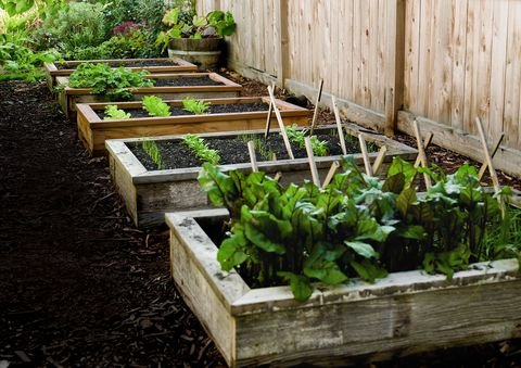 How To Start a Garden | Build This Raised Garden Bed