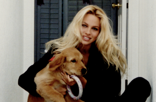 Netflix's Pamela Anderson Documentary: Fans Are All Having The Same Reaction
