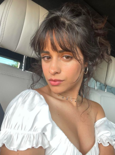 Camila Cabello Embraces Her 'Stretch Marks And Fat' In Inspiring TikTok ...