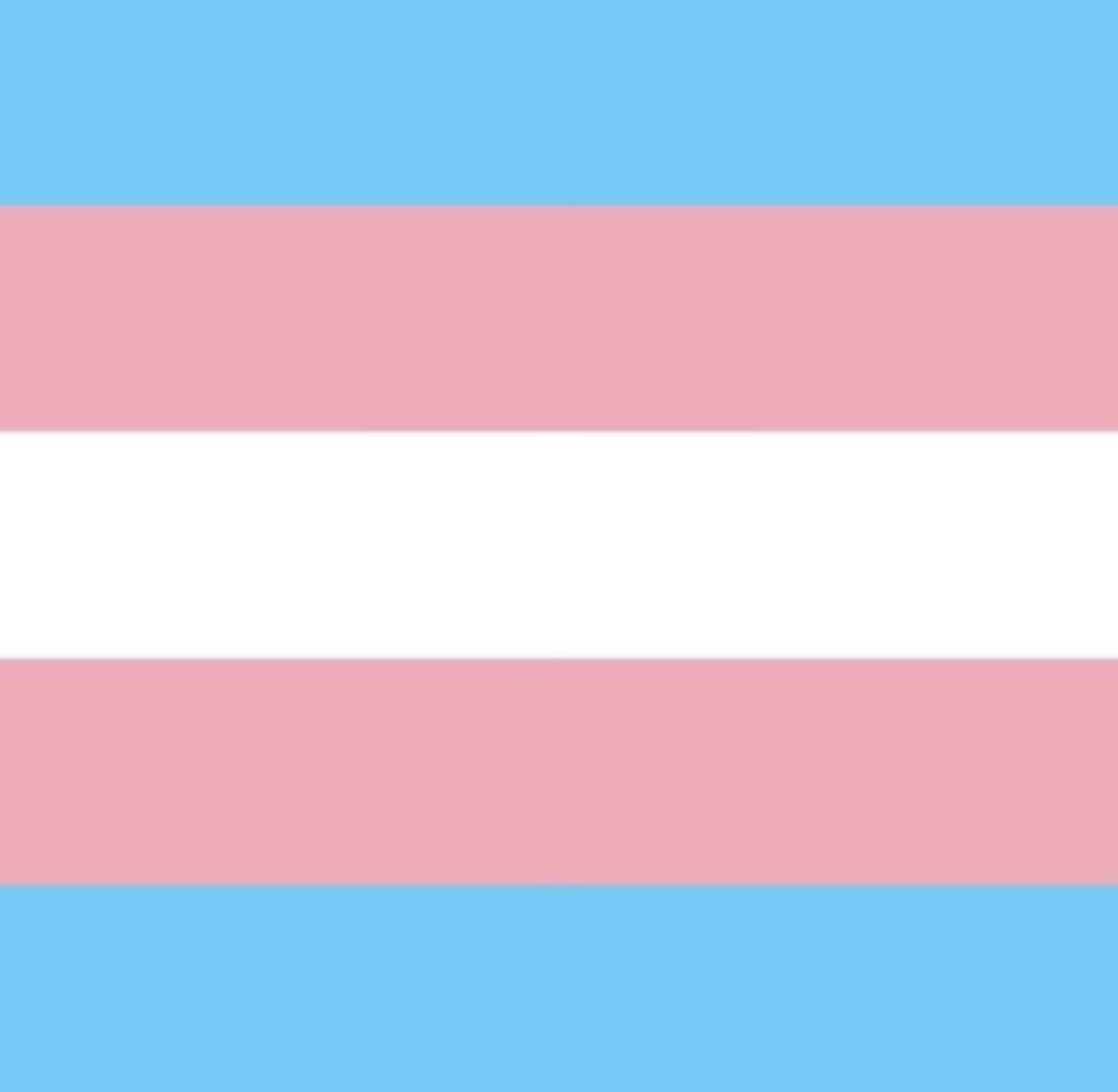 Celebriamo il Pride Month con la storia di alcune bandiere che rappresentano la comunità LGBTQIA+