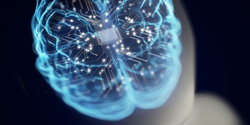 This $35,000 Computer Runs on Human Brain Cells. Scientists Say It’s Not Conscious—Yet.