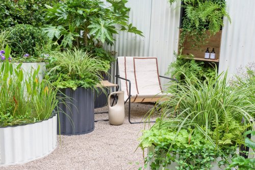 Chelsea Flower Show 2021: Photos of this year's Container Gardens