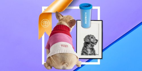 76 Best Inexpensive And Unique Gifts For Dog Lovers On Amazon And More