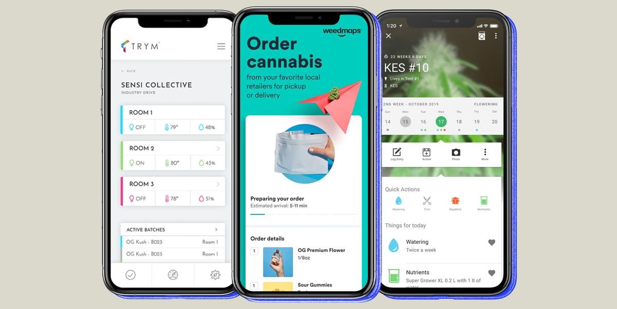 The 8 Best Cannabis Apps to Download Now