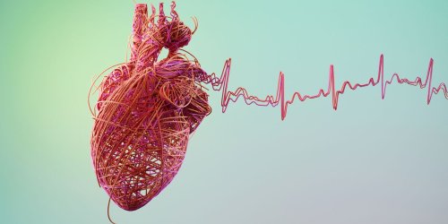 Genetic Heart Conditions Could Be Cured for First Time in Groundbreaking New Research