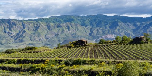 Is Sicily the Underrated Wine Capital of the World?