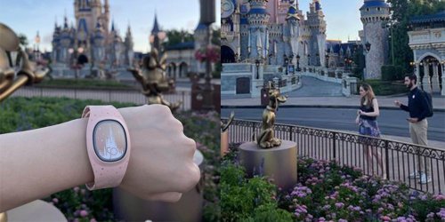 High School Students Nationwide Now Applying for Popular Disney