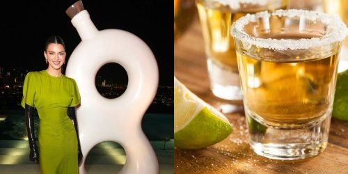 Tequila And Mezcal Are Both Made From Agave, But They're Totally Different