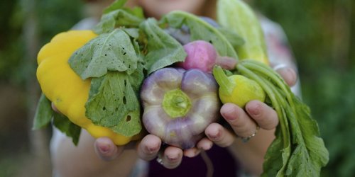 Viral planting hack shows how to grow your own vegetables using kitchen scraps
