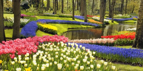 Around the World in 50 Amazing Gardens