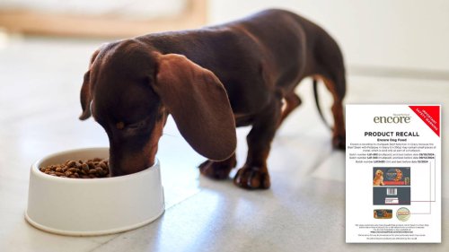 Urgent warning for dog owners as brand recalls food over fears it contains metal