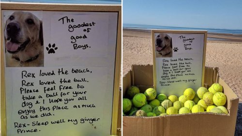 Dog owner honours late pet by giving out tennis balls on his favourite beach