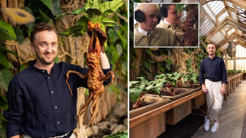 Harry Potter's Tom Felton gives fans first look at Professor Sprout's greenhouse
