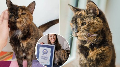 Flossie, 26, officially named oldest cat in the world
