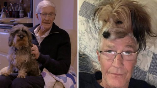 What happened to Paul O'Grady's beloved dogs after his death