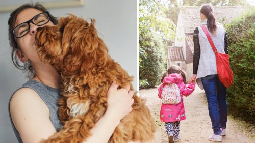 Dog owner argues she deserves same flexibility as mothers of human kids