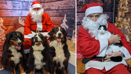 You can now take your dog or cat to meet Santa Claus