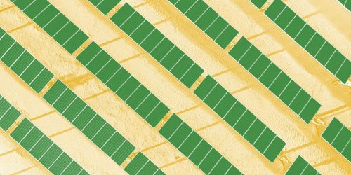 The Trump Administration Helped a Solar Farm