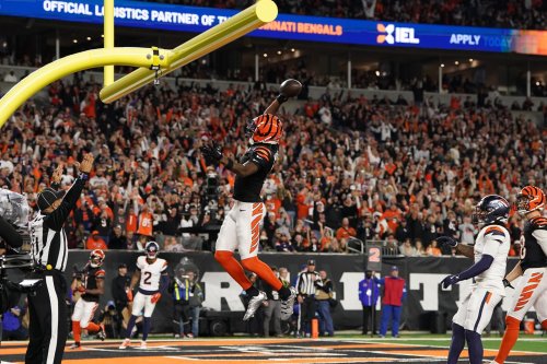 Bengals Could be Eyeing Move to St. Louis