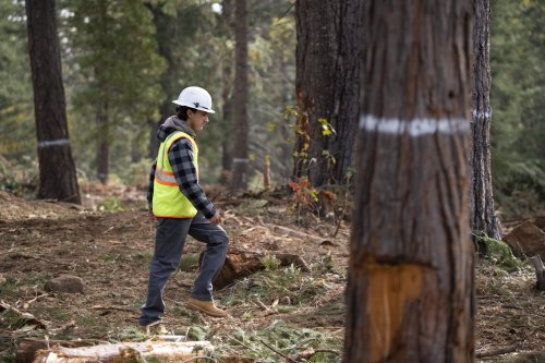 Apprenticeships are bringing new workers to heritage industries