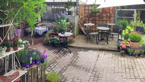 Frühstücken im Blumenmeer im Café Löwenzahn