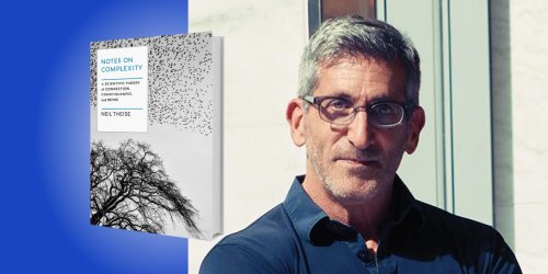 Notes on Complexity: A Scientific Theory of Connection, Consciousness, and Being