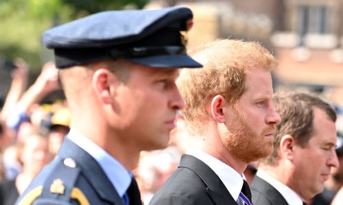 Prince Harry will not reunite with Prince William during UK visit