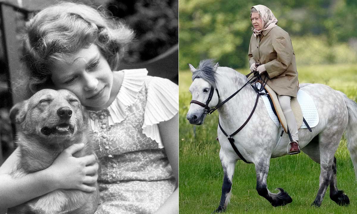The Queen's passion for animals: her lifelong love affair with Corgis and horses