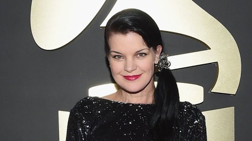 Pauley Perrette inundated with support over emotional TV comeback following NCIS exit and acting retirement