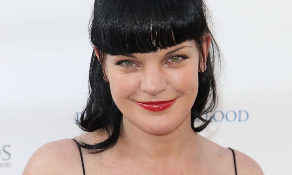 Pauley Perrette's bold new look delights fans as she returns to social media