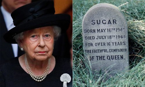 The late Queen's sombre corgi graveyard revealed