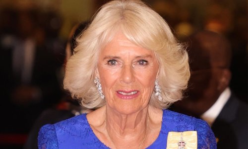 Duchess Camilla is a vision in electric blue gown – and special accessories