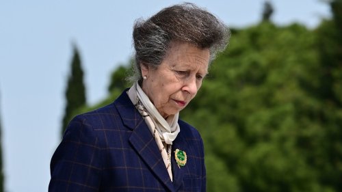 Princess Anne reportedly suffers painful 'injury' after 'accident' at Gatcombe Park Estate