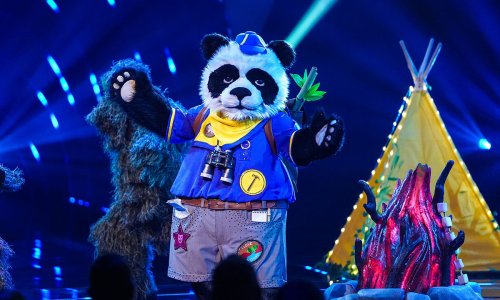 The Masked Singer: this major hint has fans convinced they've worked out Panda Bear