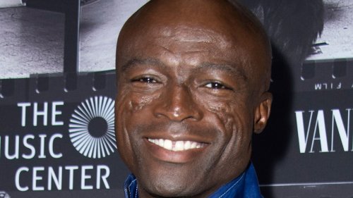 Seal, 61, looks dramatically different with dreadlocks in must-see photos