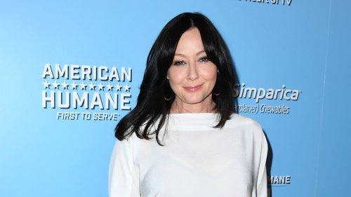 Shannen Doherty's terrifying cancer battle in the midst of heartbreaking divorce – what to know