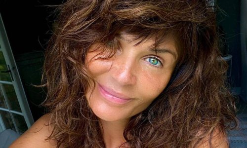 Helena Christensen, 53, sets pulses racing in plunging see-through