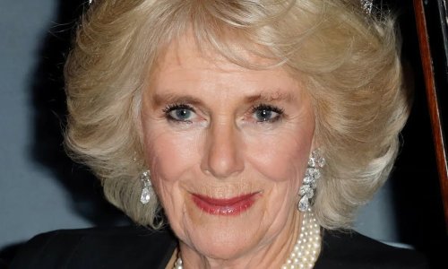 Duchess Camilla is beautiful in blue for stunning new portrait - Flipboard