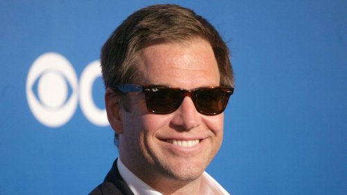 Michael Weatherly Reveals Incredible Swimming Pool In Rare Home Photo ...