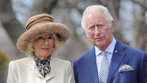 King Charles and Queen Camilla 'deeply saddened' as they break silence on Pope Francis' death