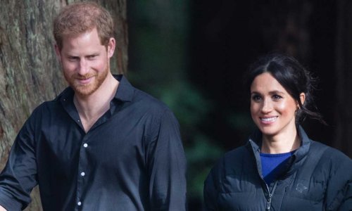 Prince Harry and Meghan Markle's secret couples hobby will surprise you