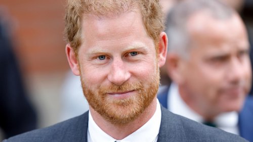Prince Harry set to testify as unique legal connection with Princess Anne revealed
